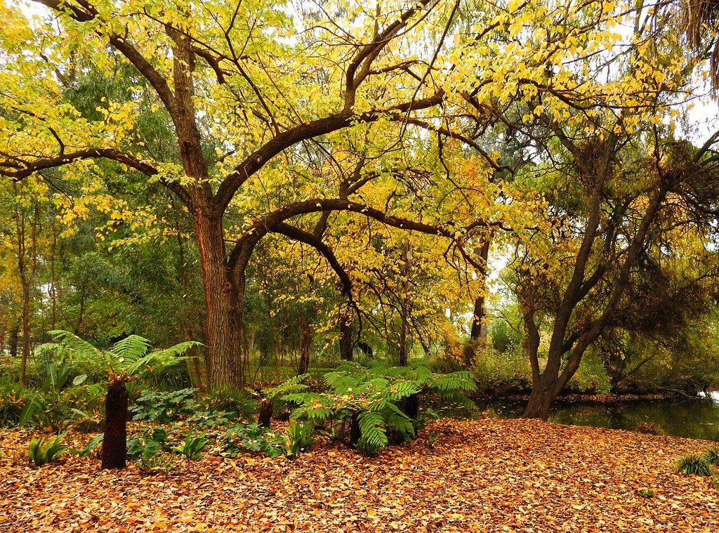Bendigo Reveals 7 Must-Do Winter Activities for 2026